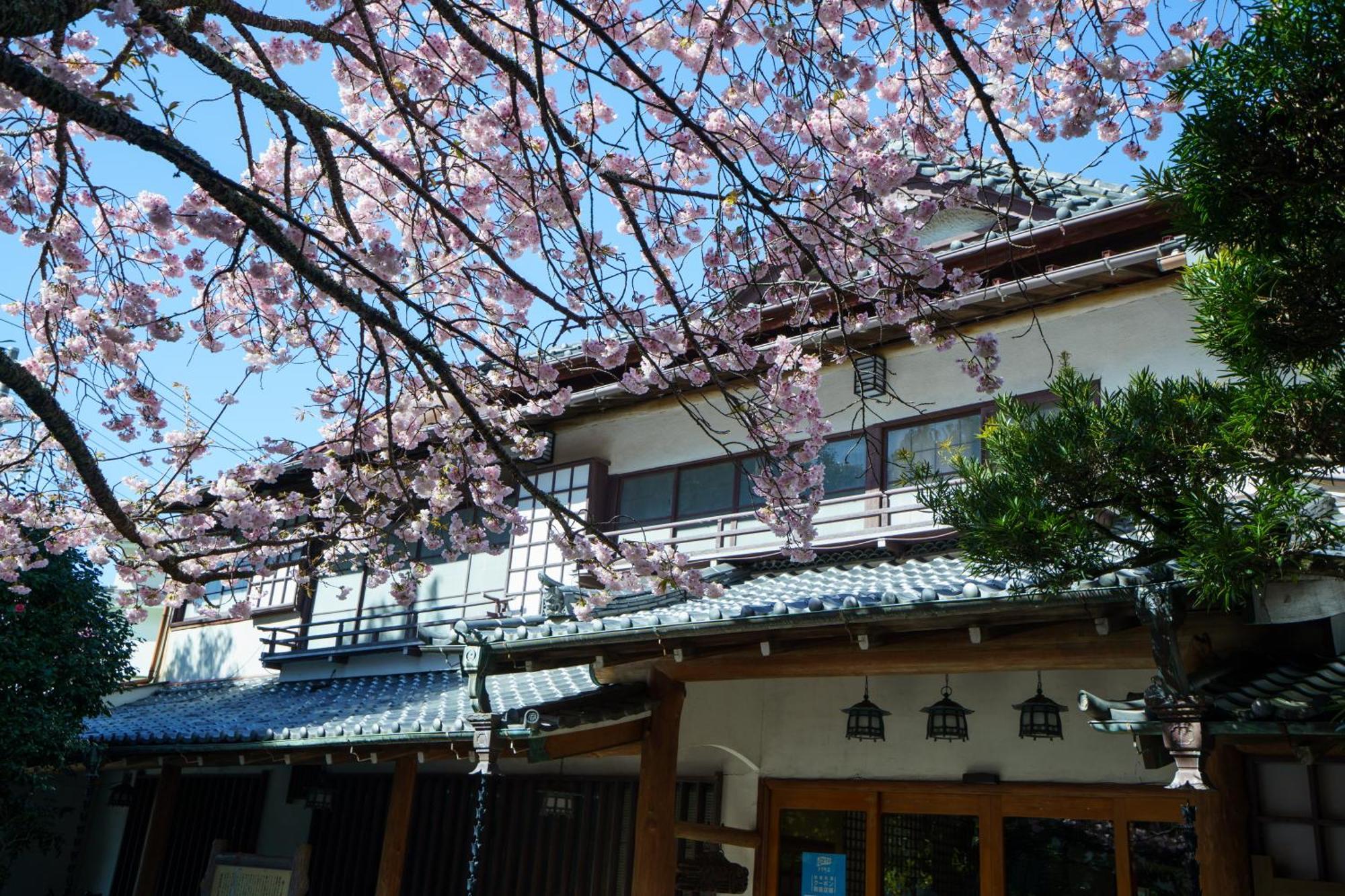 Sakahijiri Gyokushoen Izu  Bagian luar foto